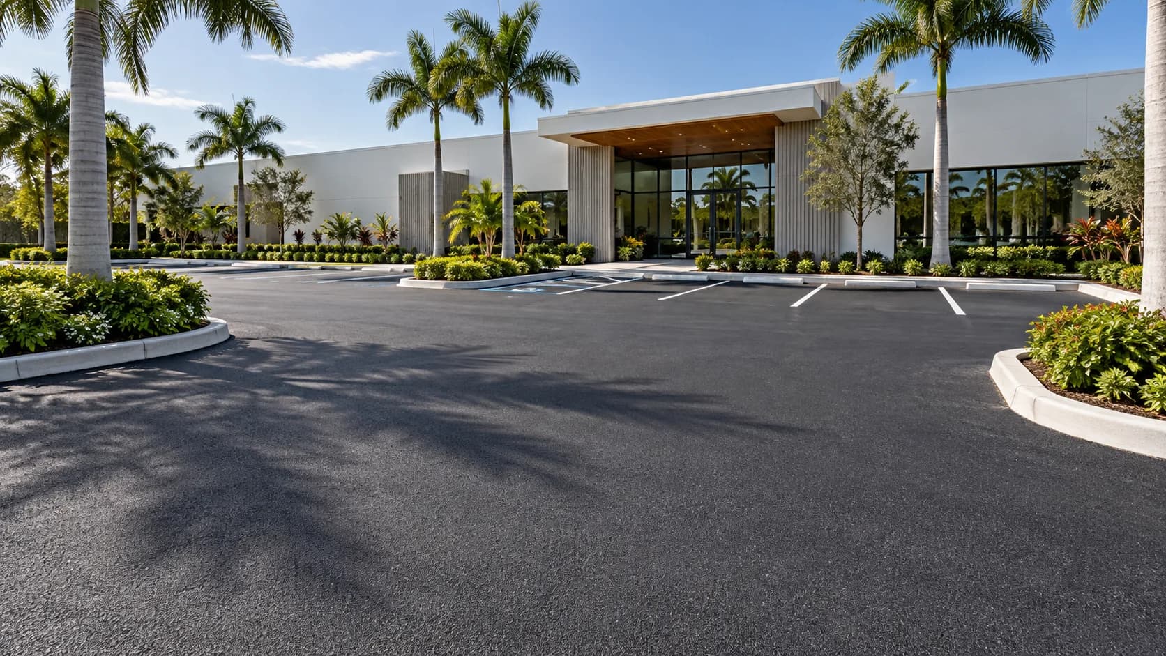 Asphalt parking area with white markings and palms